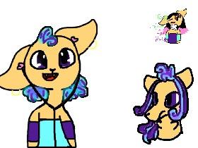 Sorries to Comet Cat
