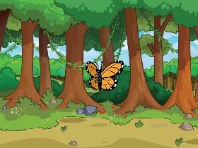 Bouncing Butterfly! 🦋