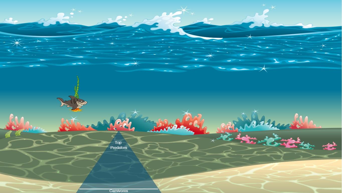 Ocean Ecological Pyramid