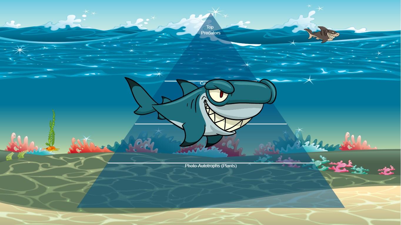 Ocean Ecological Pyramid