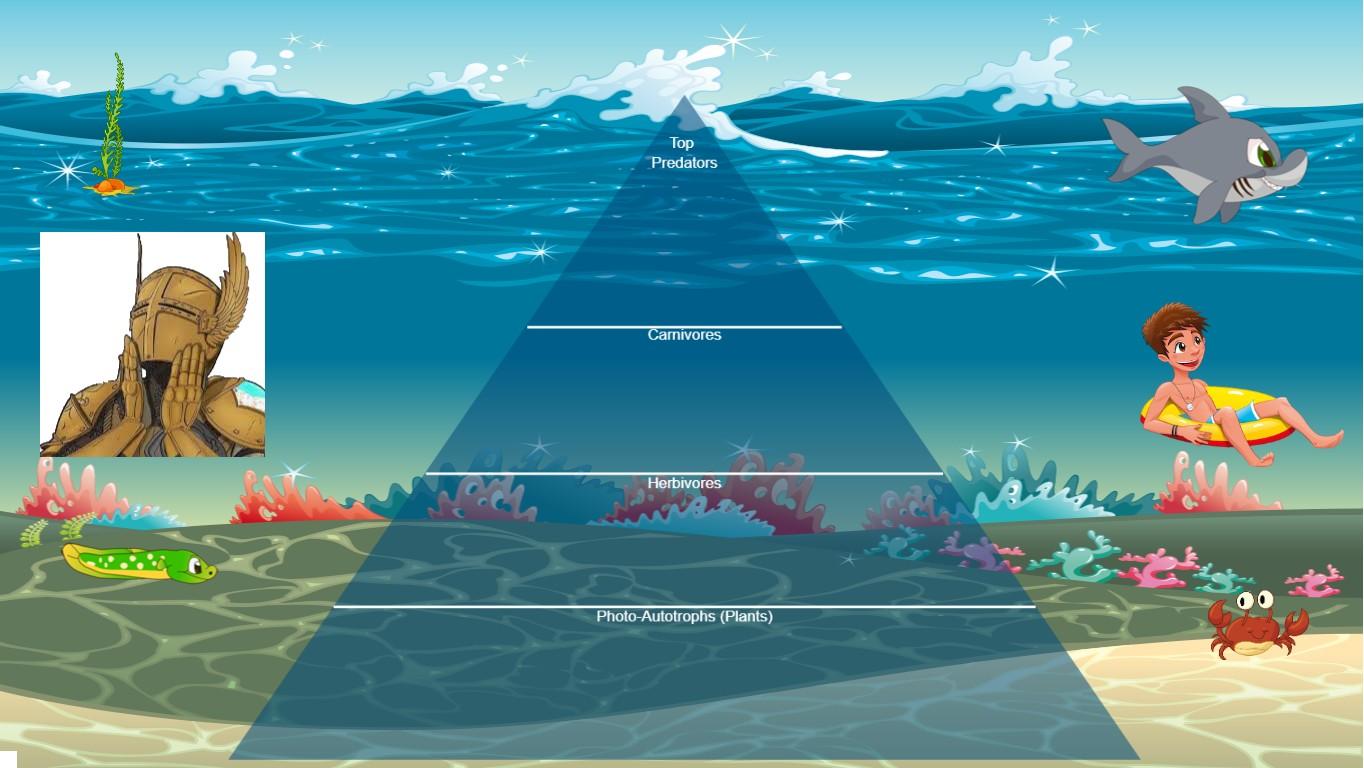 Ocean Ecological Pyramid