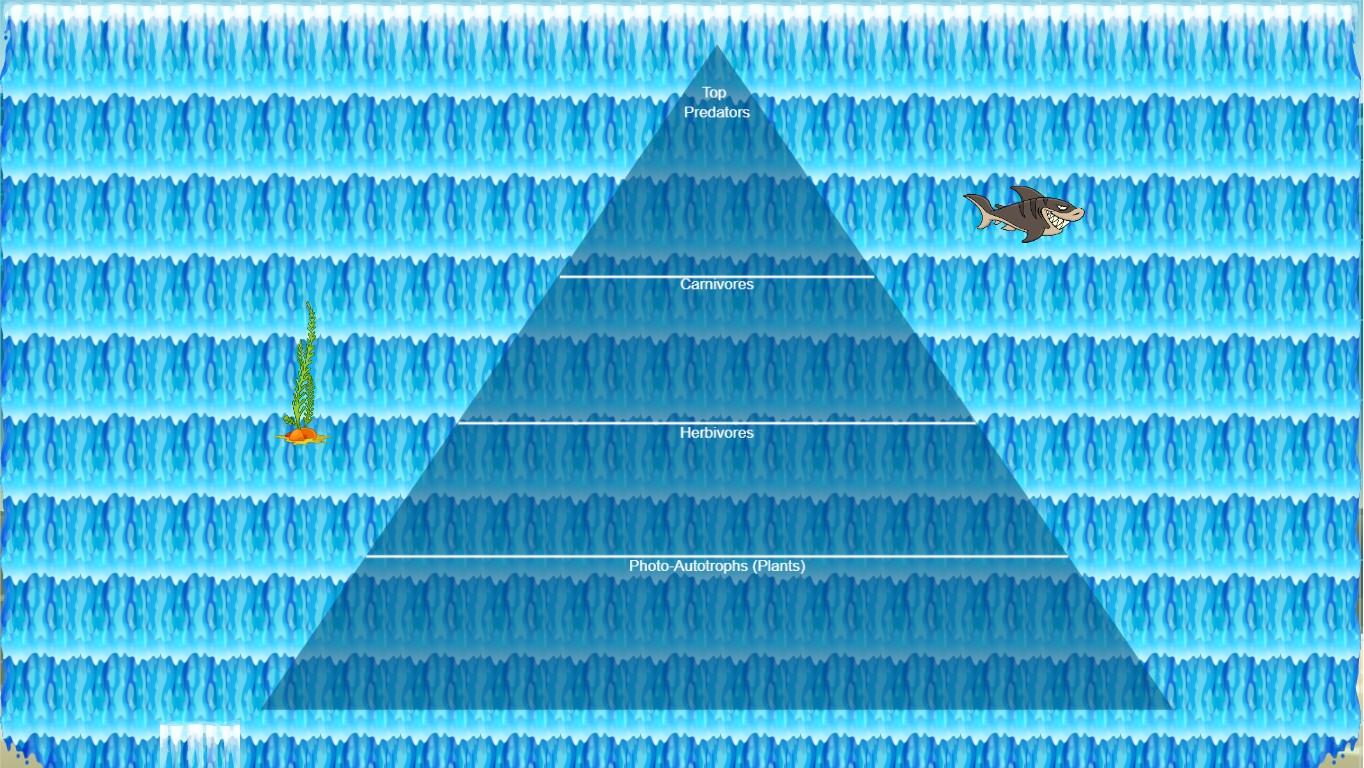 Ocean Ecological Pyramid
