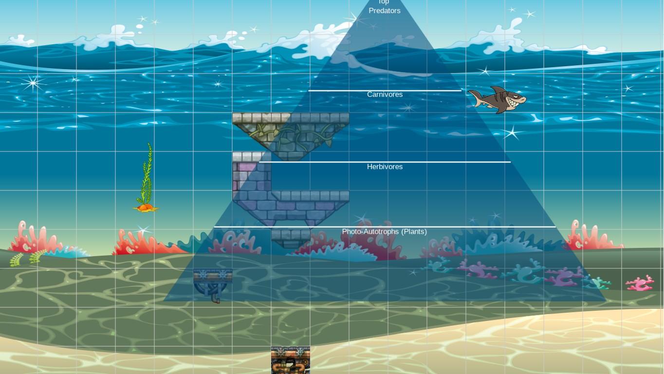 Ocean Ecological Pyramid