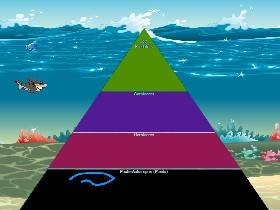 Ecological Pyramid 1