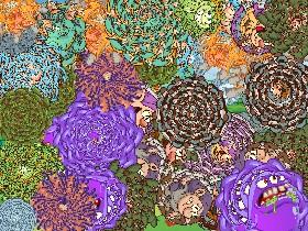 Flower Power 2