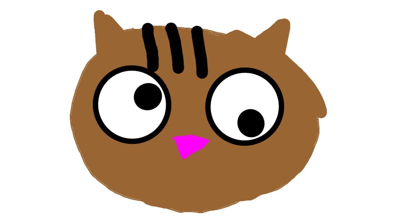 Googly cat