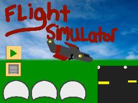 Flight Simulator  1