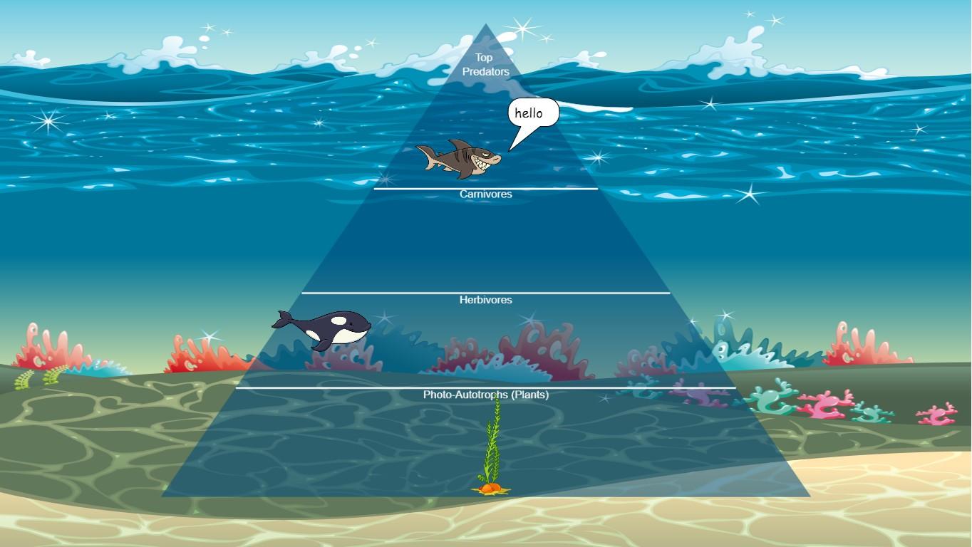Ocean Ecological Pyramid