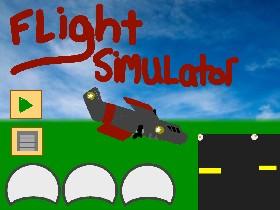 Flight Simulator 