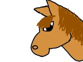 Cat Animation(Horse)