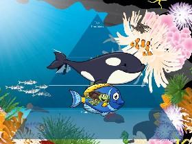 Ecological Pyramid 1