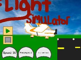 Flight Simulator  1