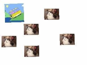 cats - copy