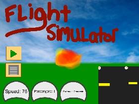 Flight Sim 1