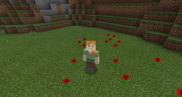 Path of daimond blocks