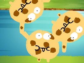 chuby cookies