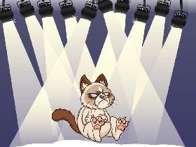 grumpy cat