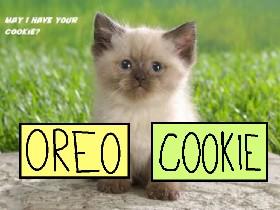Talk To Oreo Or Cookie