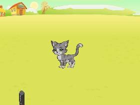 cat laser