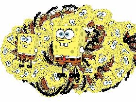 sponge spinner 1