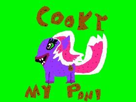 Cooky my pony