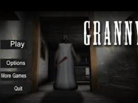 Granny 2 1 1