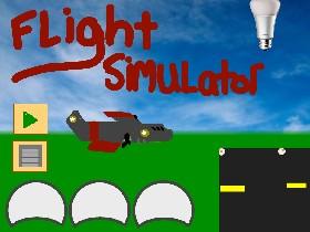 Flight Simulator 1 1