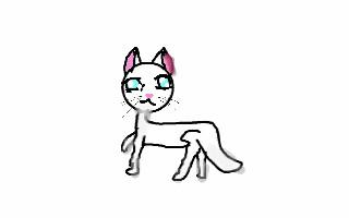 how to draw a cat