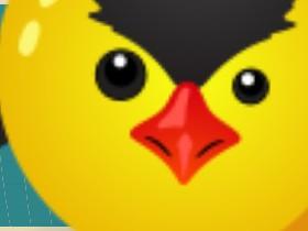 Bird Mayhem 1 1
