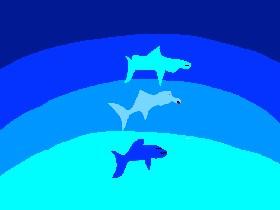 Dolphins
