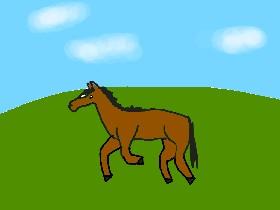 How to draw a horse