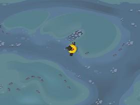 Bird Mayhem 1☕️☕️☕️☕️☕️☕️☕️☕️wwwwwwwwwwww