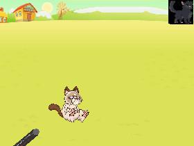 Play with Grumpy Cat