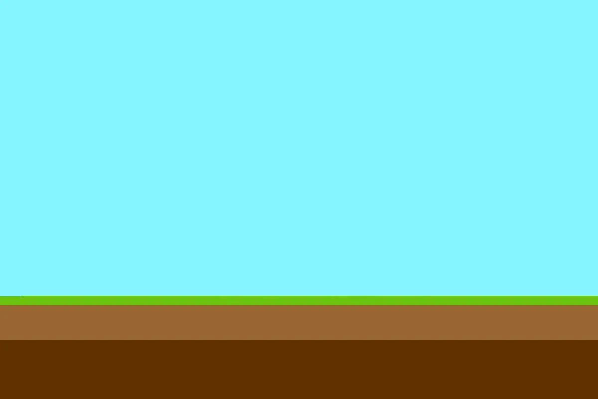 What Do Plants Need?