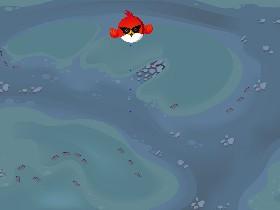 Bird Mayhem!!!!!!!!!!!!!!!!!😯