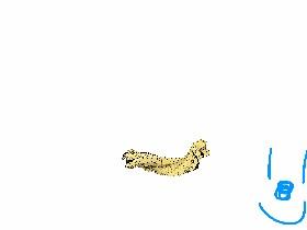 Spin Draw 1