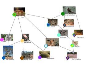 Science Food Web Coding