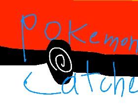 Pokemon Catcher  1