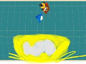 Chicken Nest