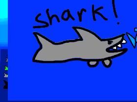 Shark! help