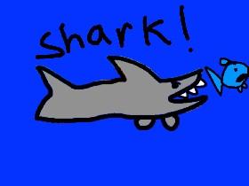 Shark!yeet