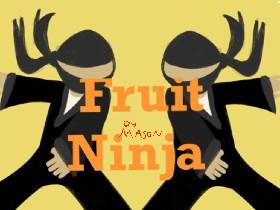 Fruit Ninja