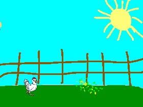 The Life of a Chicken
