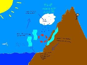 The water cycle 1 1