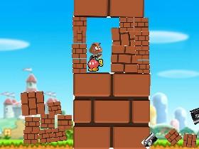 Mario's Target Practice 1