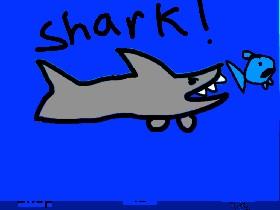 Shark! 1 2 2