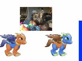 my dog vs dragons