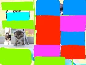 Kitten Clicker 1