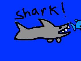 Shark!yeet 1