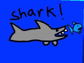 Shark!yeet 1